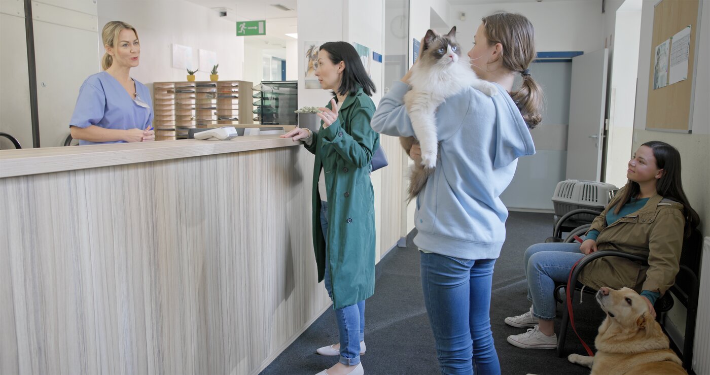 Pet and owner in a veterinary clinic waiting room